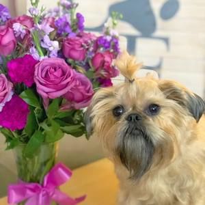 Meet your Posher, Felicia